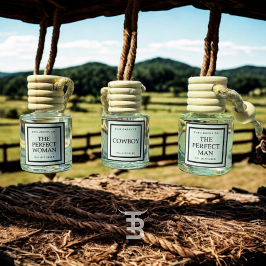 Car/Hanging Diffuser